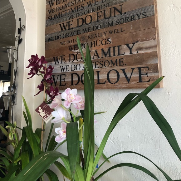 Meet your Posher, Gi - Picture 8 of 8